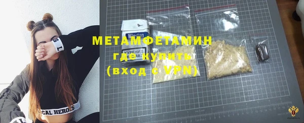 прущие грибы Дмитровск
