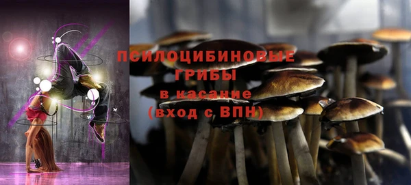 индика Зеленодольск