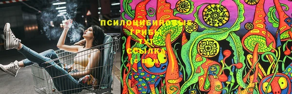 MDMA Дмитриев