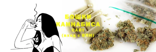 прущие грибы Дмитровск