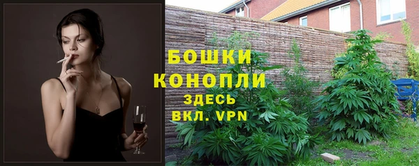 прущие грибы Дмитровск