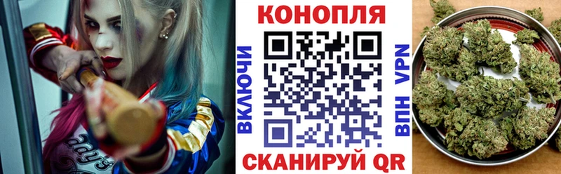 Купить где  Могоча  Конопля Amnesia 